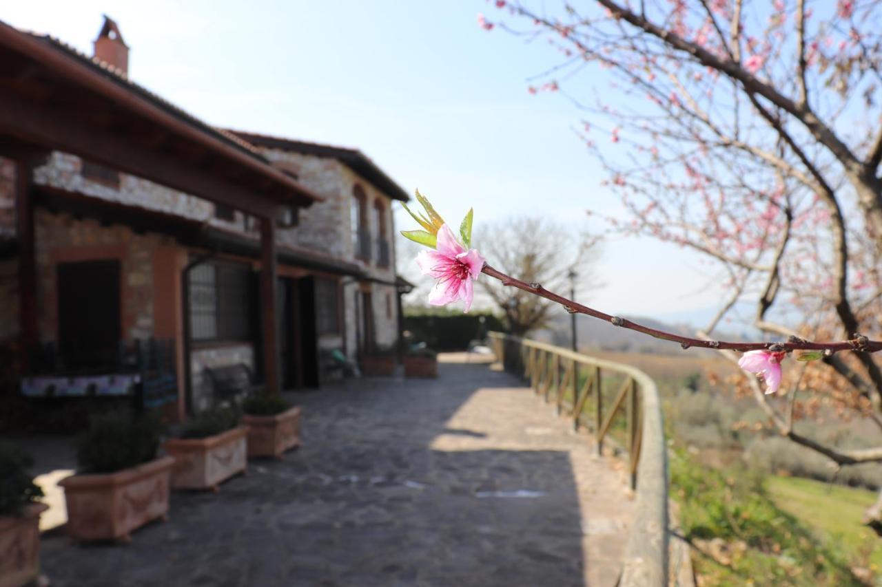 B&B Casale Roshlee Gualdo Cattaneo Bagian luar foto
